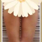 ヒメ日記 2025/10/08 16:25 投稿 石田ゆり(いしだゆり) 九州熟女　八代店