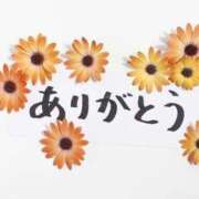 ヒメ日記 2025/10/19 15:55 投稿 石田ゆり(いしだゆり) 九州熟女　八代店