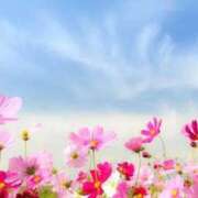 ヒメ日記 2025/10/20 00:35 投稿 石田ゆり(いしだゆり) 九州熟女　八代店