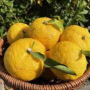 ヒメ日記 2025/12/22 11:25 投稿 石田ゆり(いしだゆり) 九州熟女　八代店