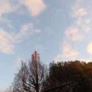 ヒメ日記 2026/01/05 05:45 投稿 石田ゆり(いしだゆり) 九州熟女　八代店