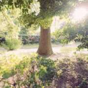 ヒメ日記 2026/01/11 08:45 投稿 石田ゆり(いしだゆり) 九州熟女　八代店