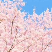 ヒメ日記 2026/04/01 08:05 投稿 石田ゆり(いしだゆり) 九州熟女　八代店