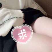 ヒメ日記 2025/01/28 12:34 投稿 岸谷 愛果 人妻セレブ宮殿