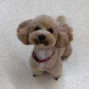 ヒメ日記 2025/02/22 02:12 投稿 あやの 私立にじいろ女学園～横浜校～