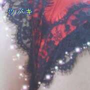 ヒメ日記 2025/01/16 13:57 投稿 ツバキ おもいっきり甘えさせてくれるおっぱい