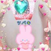 ヒメ日記 2025/01/18 09:27 投稿 ツバキ おもいっきり甘えさせてくれるおっぱい