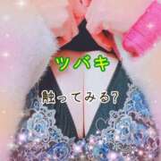 ヒメ日記 2025/01/21 08:47 投稿 ツバキ おもいっきり甘えさせてくれるおっぱい