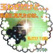 ヒメ日記 2025/03/29 08:47 投稿 ツバキ おもいっきり甘えさせてくれるおっぱい