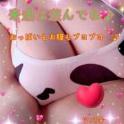 ヒメ日記 2025/03/29 19:07 投稿 ツバキ おもいっきり甘えさせてくれるおっぱい