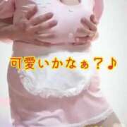 ヒメ日記 2025/03/30 07:07 投稿 ツバキ おもいっきり甘えさせてくれるおっぱい