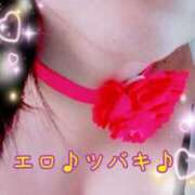 ヒメ日記 2025/04/02 12:47 投稿 ツバキ おもいっきり甘えさせてくれるおっぱい