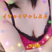 ヒメ日記 2025/04/14 13:27 投稿 ツバキ おもいっきり甘えさせてくれるおっぱい