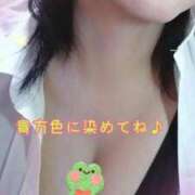 ヒメ日記 2025/04/22 13:47 投稿 ツバキ おもいっきり甘えさせてくれるおっぱい