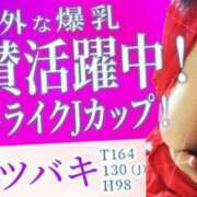 ヒメ日記 2025/04/27 08:47 投稿 ツバキ おもいっきり甘えさせてくれるおっぱい