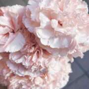 ヒメ日記 2025/05/02 17:29 投稿 うゆ スピード梅田店