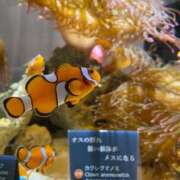 ヒメ日記 2025/10/07 14:48 投稿 うゆ スピード梅田店