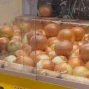 ヒメ日記 2025/11/01 15:19 投稿 うゆ スピード梅田店