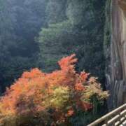 うゆ うゆ（スピード梅田店） スピード梅田店