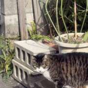 うゆ うゆ（スピード梅田店） スピード梅田店