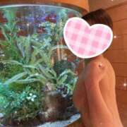 すずね 愛しさの理由 Bijou R