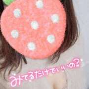 ヒメ日記 2025/02/10 17:10 投稿 伊達政子 五十路マダム富山店(カサブランカグループ)