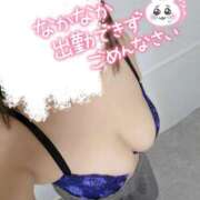 ヒメ日記 2025/02/21 21:20 投稿 伊達政子 五十路マダム富山店(カサブランカグループ)