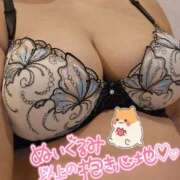 ヒメ日記 2025/11/06 21:42 投稿 伊達政子 五十路マダム富山店(カサブランカグループ)