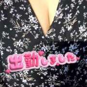 ヒメ日記 2026/02/17 09:54 投稿 伊達政子 五十路マダム富山店(カサブランカグループ)