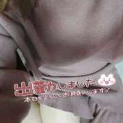 ヒメ日記 2026/03/15 10:06 投稿 伊達政子 五十路マダム富山店(カサブランカグループ)