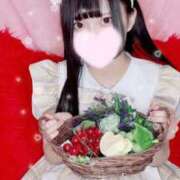 ヒメ日記 2025/06/20 19:31 投稿 こと メイドde本舗