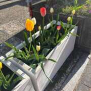 ヒメ日記 2025/04/09 15:25 投稿 りさ One More奥様　立川店