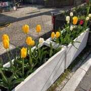 ヒメ日記 2025/04/12 18:52 投稿 りさ One More奥様　立川店