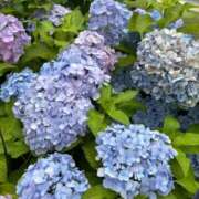 ヒメ日記 2025/06/17 08:54 投稿 りさ One More奥様　立川店