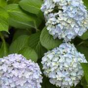 ヒメ日記 2025/06/24 08:49 投稿 りさ One More奥様　立川店