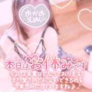 ヒメ日記 2025/05/11 16:48 投稿 あい マネLOVE