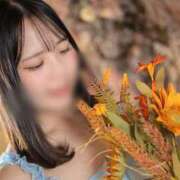 ヒメ日記 2025/08/14 05:37 投稿 すい 淫乱痴女エステ　上野店