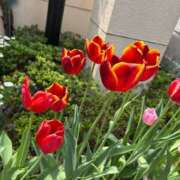 ヒメ日記 2025/04/21 10:29 投稿 りさ One More奥様　八王子店