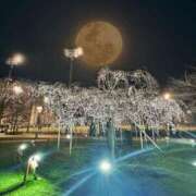 ヒメ日記 2025/04/02 21:52 投稿 えみ 完熟ばなな千葉店