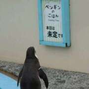 ヒメ日記 2025/10/06 23:32 投稿 えみ 完熟ばなな千葉店