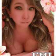 ヒメ日記 2025/11/14 00:12 投稿 えみ 完熟ばなな千葉店