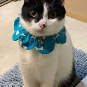 ヒメ日記 2025/01/24 22:04 投稿 あすみ 新横浜人妻ポルノ