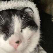 ヒメ日記 2025/01/27 21:25 投稿 あすみ 新横浜人妻ポルノ