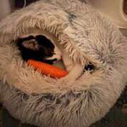 ヒメ日記 2025/02/03 21:45 投稿 あすみ 新横浜人妻ポルノ