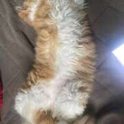 ヒメ日記 2025/01/23 15:23 投稿 汐音(しおん) グランドオペラ横浜