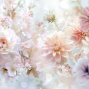 ヒメ日記 2025/01/25 12:11 投稿 汐音(しおん) グランドオペラ横浜