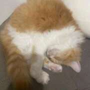 ヒメ日記 2025/02/02 14:02 投稿 汐音(しおん) グランドオペラ横浜