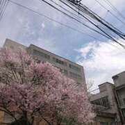 ヒメ日記 2025/04/06 16:38 投稿 ありさ 素人妻御奉仕倶楽部Hip's松戸店