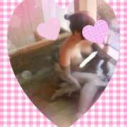 ヒメ日記 2025/04/07 19:28 投稿 ありさ 素人妻御奉仕倶楽部Hip's松戸店