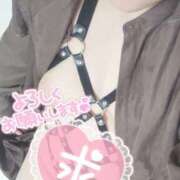 ヒメ日記 2025/07/22 16:41 投稿 ありさ 素人妻御奉仕倶楽部Hip's松戸店